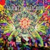 Star Gate Fox - Acuaheretik