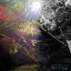 Fruitful Love - Sheaelisa