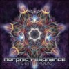 Psychedelic Hell (Original Mix) - Morphic Resonance
