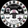 I Guess I Must Be Someone Else - Floyd Pink&The Punks