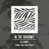 In The Shadows (Lowork Remix) - Alejandre&Lowork