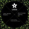 Capricorn (Oraa Remix) - Glin.k&Aratz