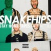 For the F^_^k Of It - Snakehips&Jeremih&Aminé