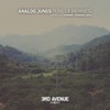 Punilla (Mariner + Domingo Remix) - Analog Jungs&Mariner + Domingo