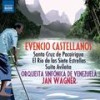 III. Nocturno - Venezuela Symphony Orchestra&Jan Wagner