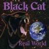 Custer's Last Stand - BLACK CAT