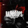 Raindrops - Volpe