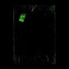 Fever - Membr