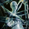 Illusions of Euphoria - para//e/
