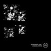 Taiga - DRGBL5