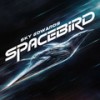 Spacebird - Sky Edwards