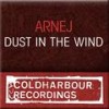 Dust In The Wind - Original Mix - Arnej
