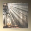 Fichtendickicht - Christoph Schindling
