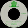 (Where Is The) Sunshine (Digital Bonus Pt. I & Pt. II) - Kalima