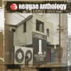 Natty Dread Have Credentials - Don Carlos