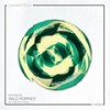 Wild Poppies - Ron Boss