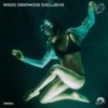Resilience - Reggy Lem