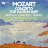 I. Allegro, Pt. 3 - Emmanuel Pahud&Marie-Pierre Langlamet&Berliner Philharmoniker&Claudio Abbado