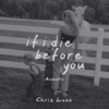 If I Die Before You - Chris Lane