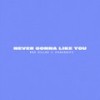 NEVER GONNA LIKE YOU (Clean Version) - Bea Miller&Snakehips