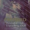 Poseidon Dub (Original Mix) - Freebird