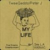 My Life(feat. Peter J) - TweeGeddo&Peter J
