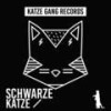 Shake The Rhythm (Andres Guerra Remix) - Simon Lunardi