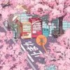 Firefly - Sosad