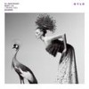 I Wanna Feel - Mary S.K.&DJ Aristocrat