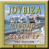 Don't Change Your Mind (Cut Version) - Joybiza