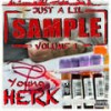 Kesha & Nino (Explicit) - Young Herk&Sweetz