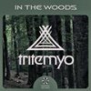 Ubangi (Original Mix) - Tritemyo