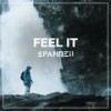 Feel It - Spandeii