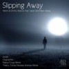 Slipping Away (Manna-Croup Remix) - Nikitin&Dmitry Bobrov&Sarah Whittaker-Gilbey