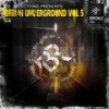 Ginger (Original Mix) - Laydee V&Collien&Jonny Smart