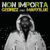 Non importa - Gedrizz&Maryblue