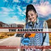 Shake It off Feat. DJ Nicholas (Remix) - Carlene Davis&Dj Nicholas