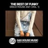 Funky Motion - Sven Richards