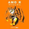 Winters Bite (Original Mix) - Amo R