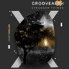 Stranger Things - Groovearth