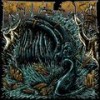 Hide Your Eyes - Noelani