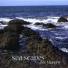 Following Seas - Jim Murphy