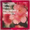 La Suegra - Gitanos&Merengue Latin Band