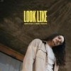 Look Like (Explicit) - Amp Melo&Xdrixn