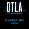 Meow (Original Mix) - Placebo eFx