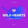 Paranormal (5th Avenue Mix) - Anthony Love