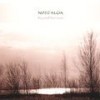 The Art of Perplexion - Nostalgia