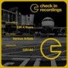 La Danse Gitane - Noizy Flight