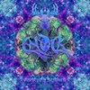 The Liquor - Chock