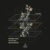 Our Dna - ManMachine&Imaginarium&Shivatree